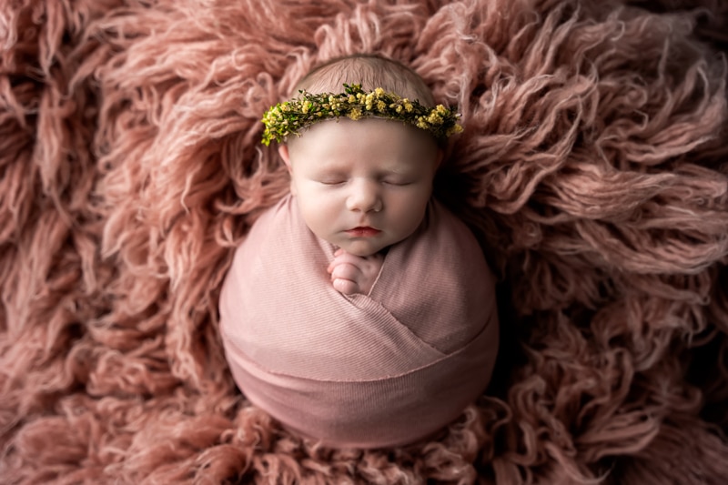 Newborn Photographer, a baby girl is swaddled in pink blankets on a pink shag rud